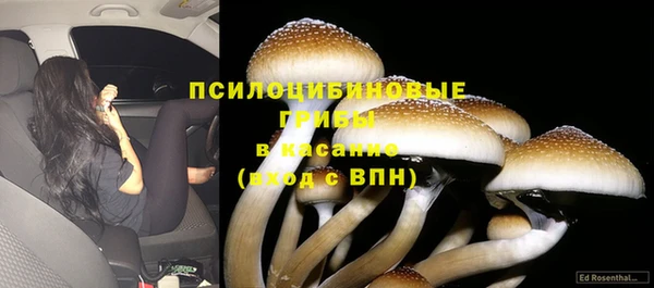 герыч Вуктыл