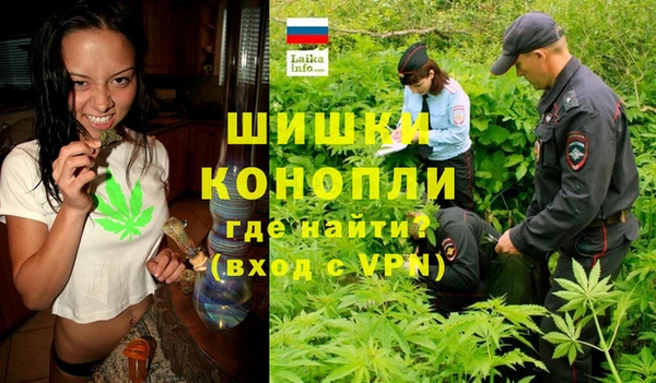 наркотики Бородино