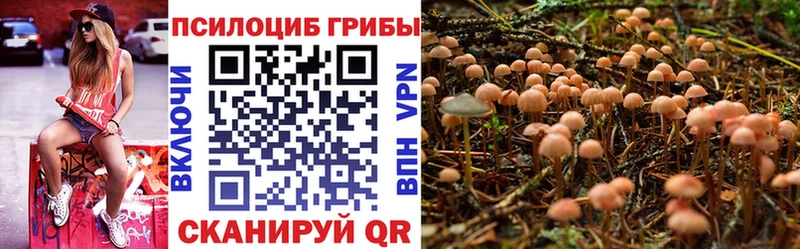магазин продажи   Вилюйск  Галлюциногенные грибы MAGIC MUSHROOMS 